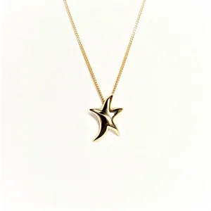STAR-Y-FRONT.jpg